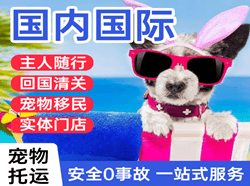 深圳宝安航空托运国际宠物托运 【国